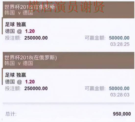 世界杯投注平台合集推荐合集：覆盖平台排行与入口方式 - 世界杯直播